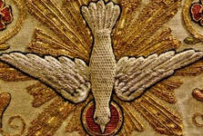Branitelj Divni