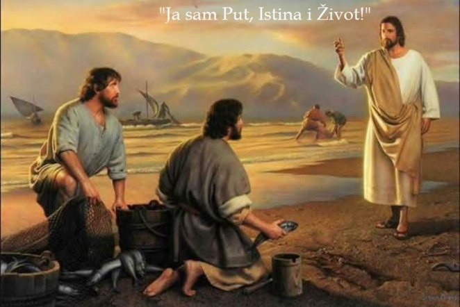 Zavoljeti život